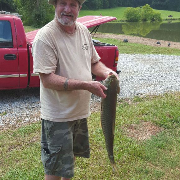 Meet your Posher, Danny - Picture 1 of 1